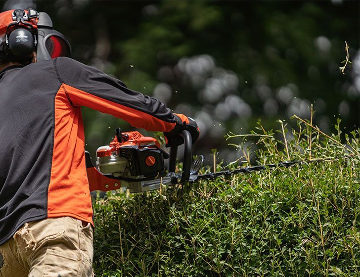 Echo HC-2020 double-sided petrol hedge trimmer, in use